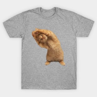 Yellow Cat, pet portrait T-Shirt